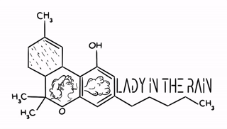 Lady In The Rain Gardens